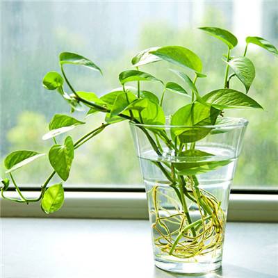 IM体育官网登录入口