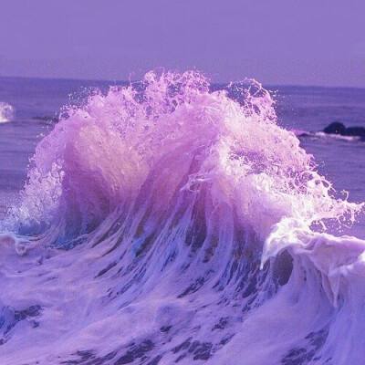 bob体肓官方网站